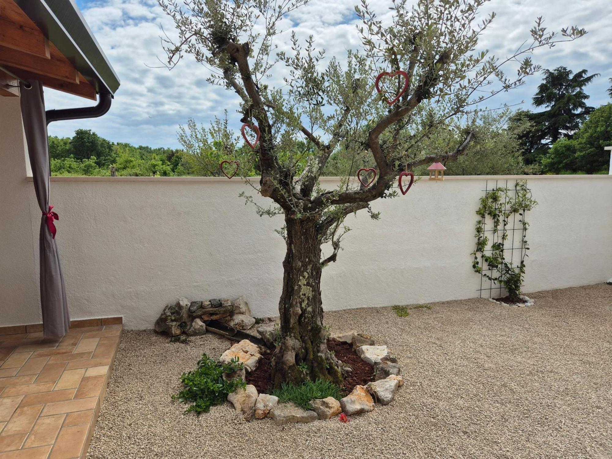Apartment Vinja Poreč - ground floor - garden Buitenkant foto