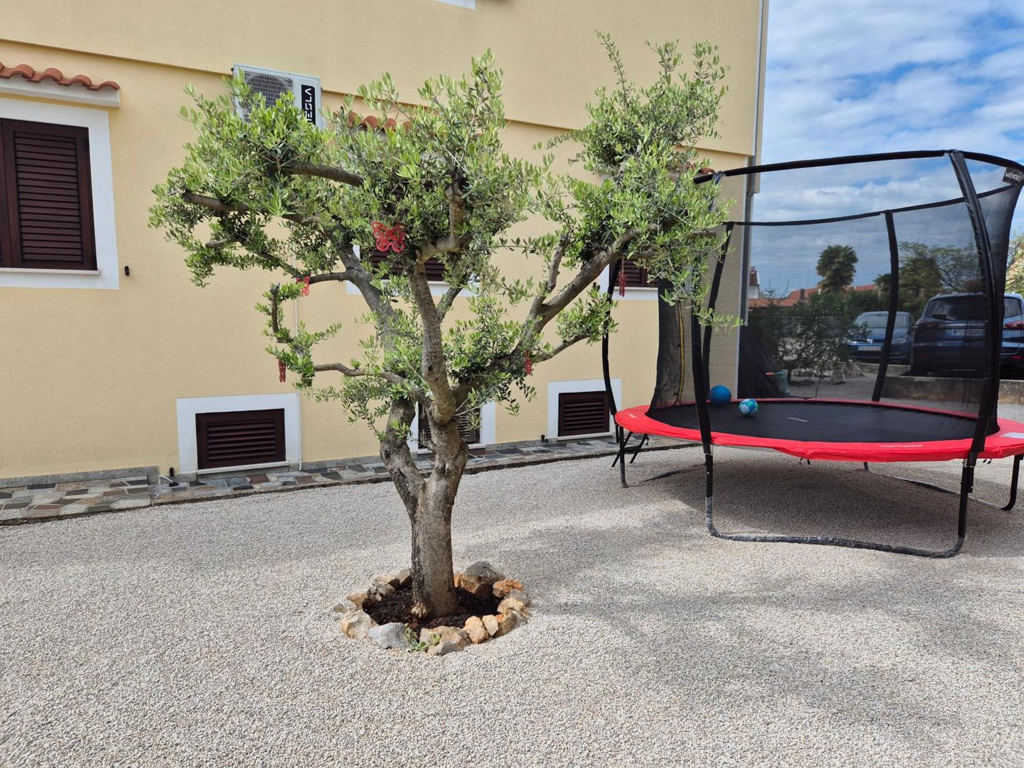 Apartment Vinja Poreč - ground floor - garden Buitenkant foto